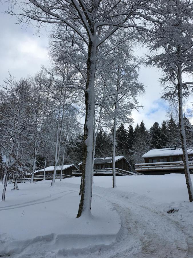 Villa Le Voyageur à Murringen Extérieur photo